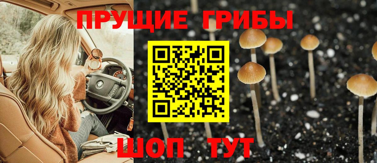 Псилоцибиновые грибы мицелий  Вход с VPN  Ртищево 